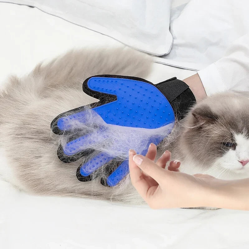 Pawli Grooming Glove