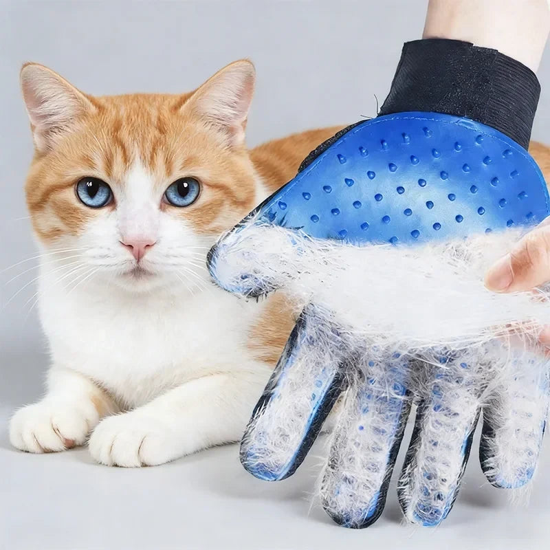 Pawli Grooming Glove