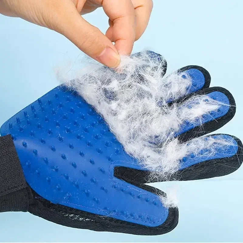 Pawli Grooming Glove